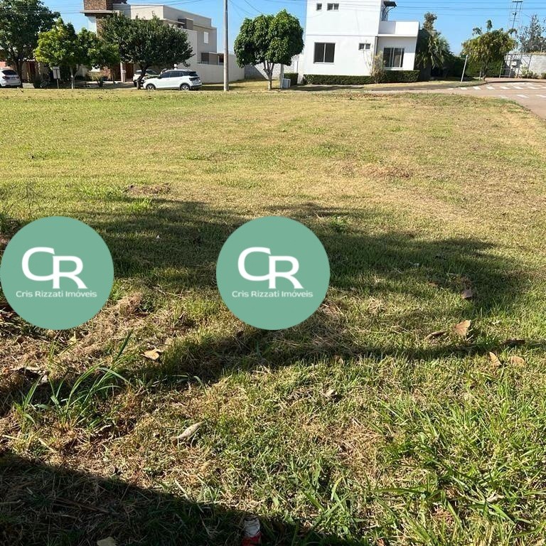 imagem-miniatura